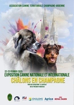 SPECIALE DE RACES - CHALONS EN CHAMPAGNE - 22 février 2025