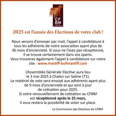 Élections 2025