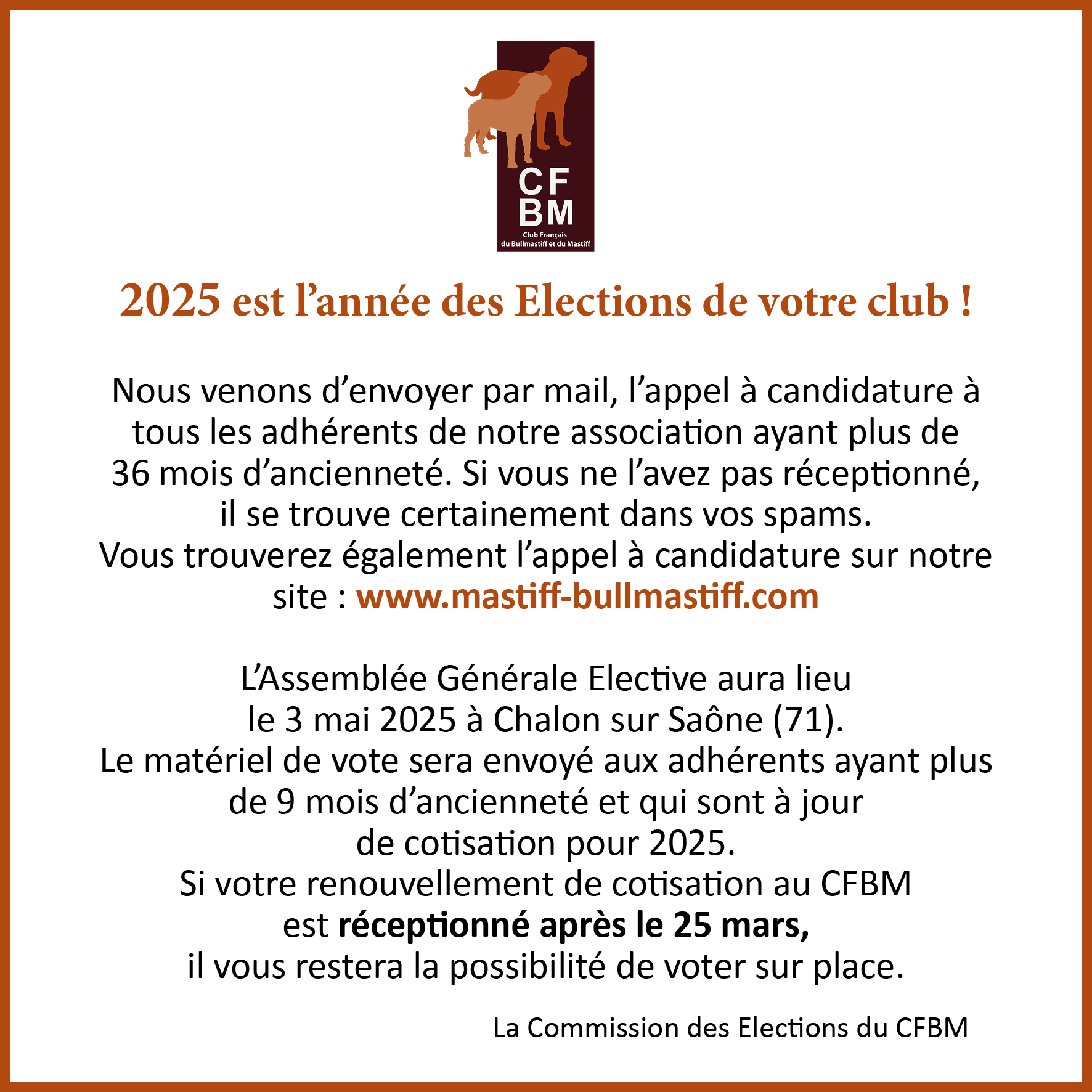 Élections 2025